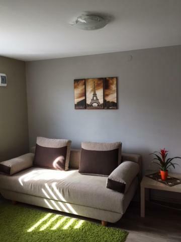 U Dzieciola Apartment Zwierzyniec ภายนอก รูปภาพ